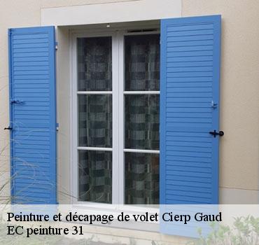 peinture-et-decapage-de-volet