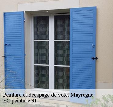 peinture-et-decapage-de-volet