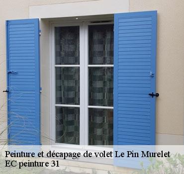 peinture-et-decapage-de-volet