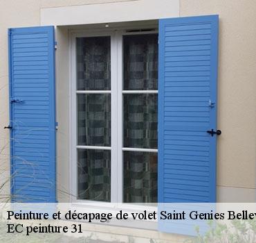 peinture-et-decapage-de-volet