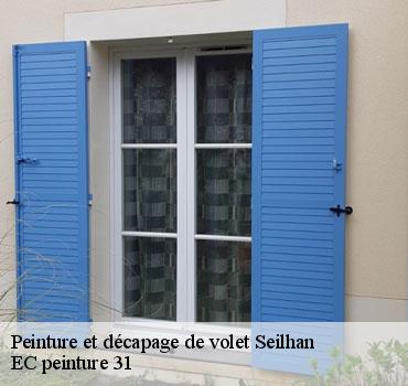 peinture-et-decapage-de-volet