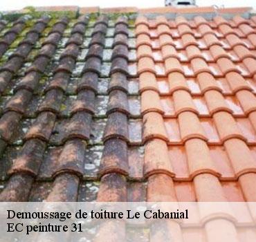 demoussage-de-toiture