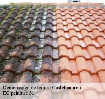 demoussage-de-toiture