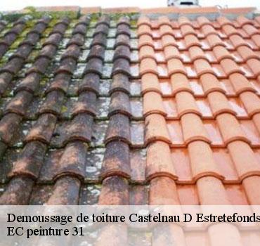 demoussage-de-toiture