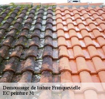 demoussage-de-toiture