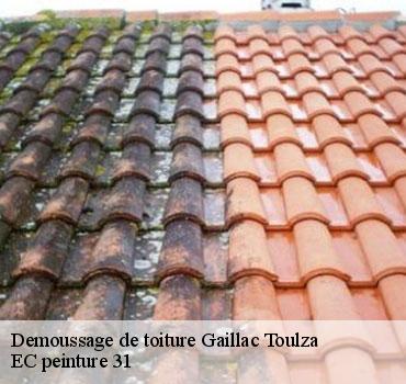 demoussage-de-toiture