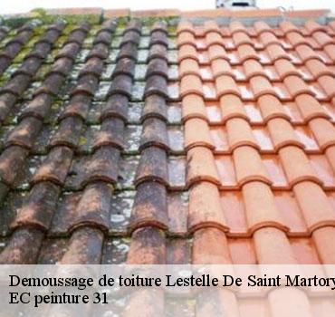 demoussage-de-toiture