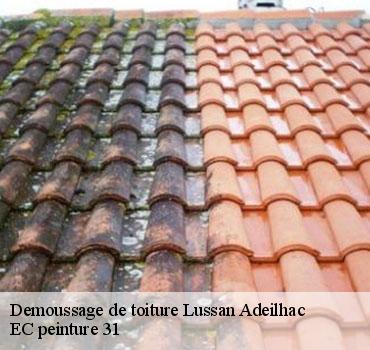 demoussage-de-toiture