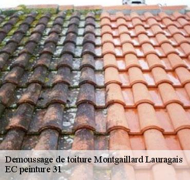 demoussage-de-toiture