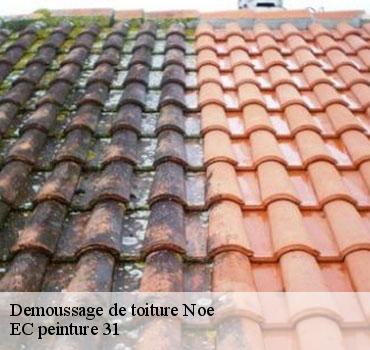 demoussage-de-toiture