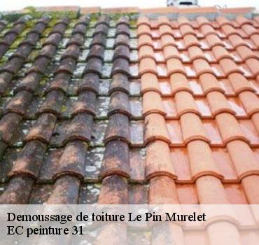 demoussage-de-toiture