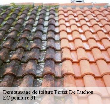 demoussage-de-toiture