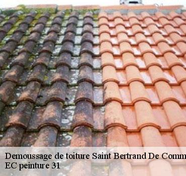 demoussage-de-toiture