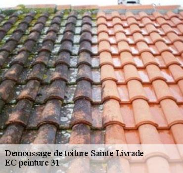 demoussage-de-toiture