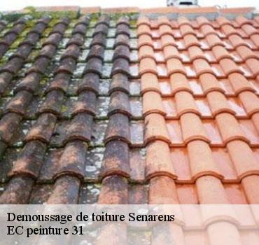 demoussage-de-toiture