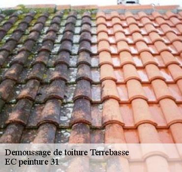 demoussage-de-toiture