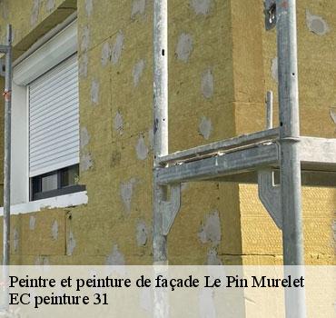 peintre-et-peinture-de-facade