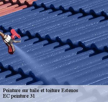 peinture-sur-tuile-et-toiture