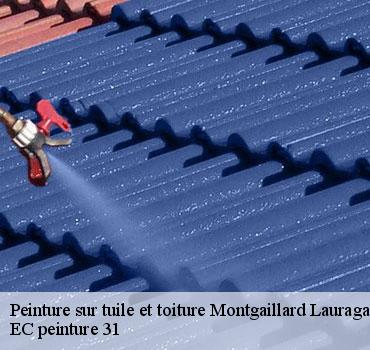 peinture-sur-tuile-et-toiture