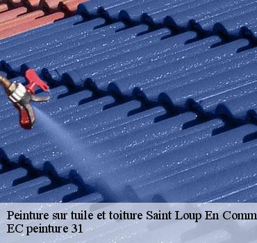 peinture-sur-tuile-et-toiture