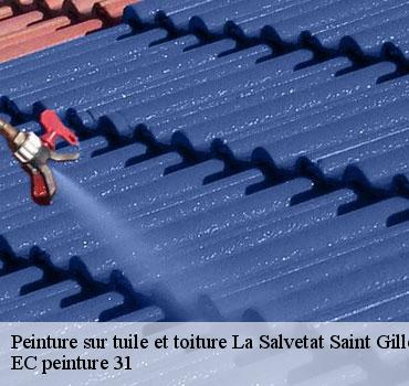 peinture-sur-tuile-et-toiture