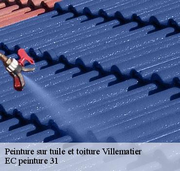 peinture-sur-tuile-et-toiture
