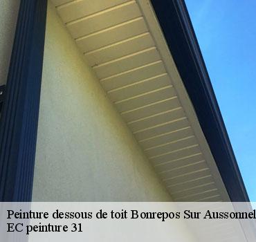 peinture-dessous-de-toit
