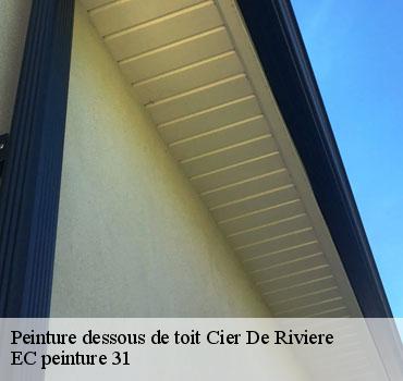 peinture-dessous-de-toit