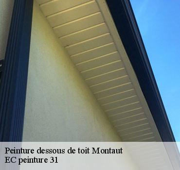 peinture-dessous-de-toit
