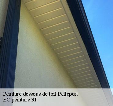 peinture-dessous-de-toit