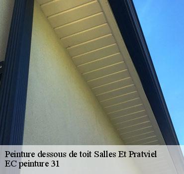 peinture-dessous-de-toit