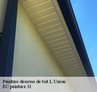 peinture-dessous-de-toit