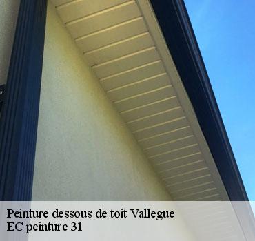 peinture-dessous-de-toit