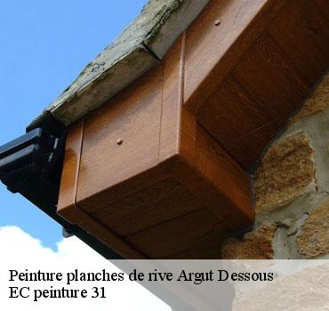 peinture-planches-de-rive