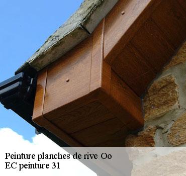 peinture-planches-de-rive